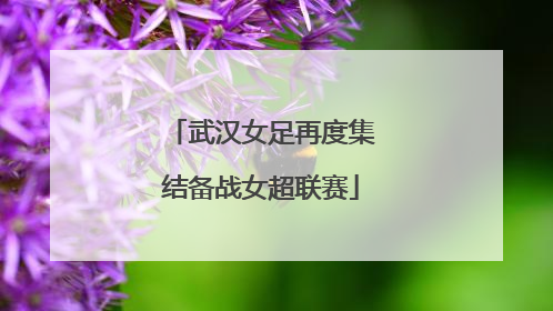 武汉女足再度集结备战女超联赛