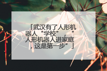武汉有了人形机器人“学校”，“人形机器人进家庭，这是第一步”