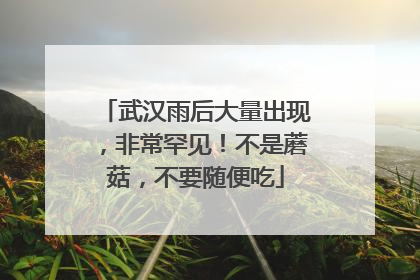武汉雨后大量出现，非常罕见！不是蘑菇，不要随便吃