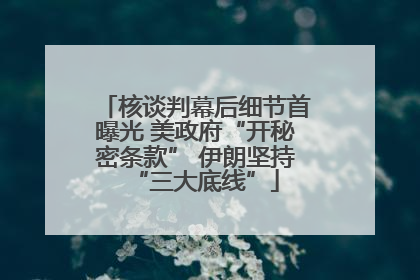 核谈判幕后细节首曝光 美政府“开秘密条款” 伊朗坚持“三大底线”