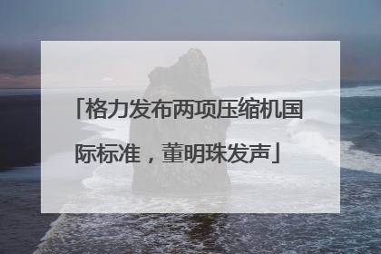格力发布两项压缩机国际标准，董明珠发声