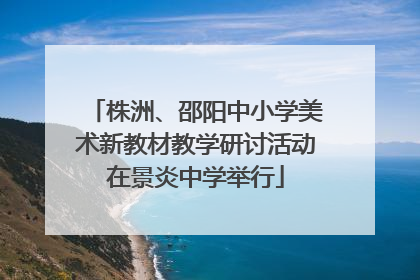 株洲、邵阳中小学美术新教材教学研讨活动在景炎中学举行