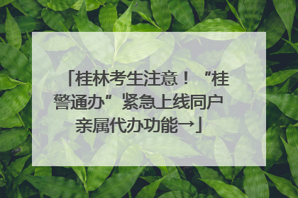 桂林考生注意！“桂警通办”紧急上线同户亲属代办功能→