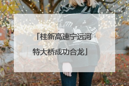 桂新高速宁远河特大桥成功合龙