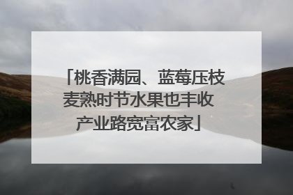 桃香满园、蓝莓压枝 麦熟时节水果也丰收 产业路宽富农家