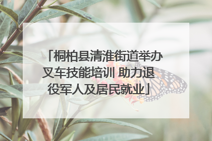 桐柏县清淮街道举办叉车技能培训 助力退役军人及居民就业