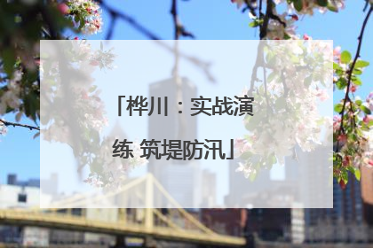 桦川：实战演练 筑堤防汛