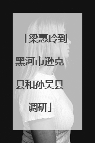 梁惠玲到黑河市逊克县和孙吴县调研