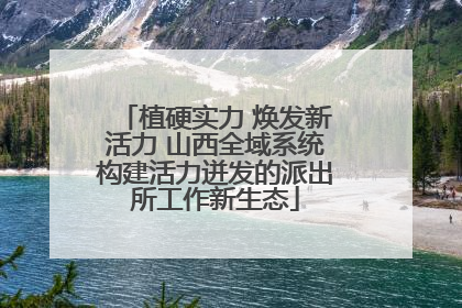 植硬实力 焕发新活力 山西全域系统构建活力迸发的派出所工作新生态
