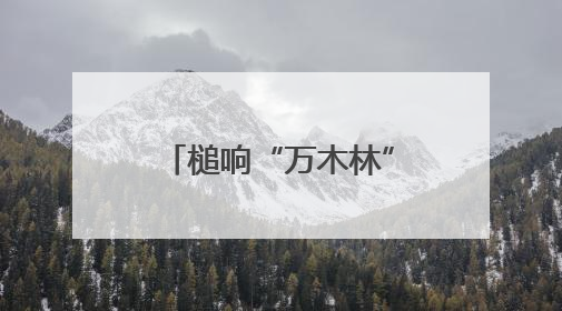 槌响“万木林”｜“天平杯·随手拍”作品展播