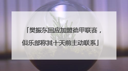 樊振东回应加盟德甲联赛，俱乐部称其十天前主动联系
