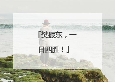 樊振东，一日四胜！