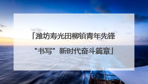 潍坊寿光田柳镇青年先锋“书写”新时代奋斗篇章