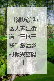 潍坊滨海区大家洼街道“三包三联”激活乡村振兴密码