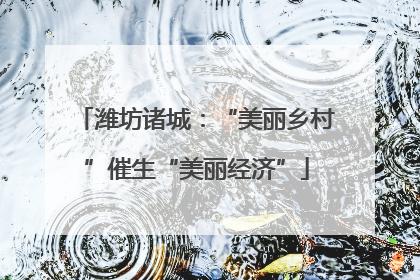 潍坊诸城：“美丽乡村”催生“美丽经济”