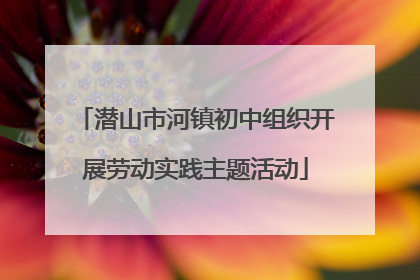 潜山市河镇初中组织开展劳动实践主题活动