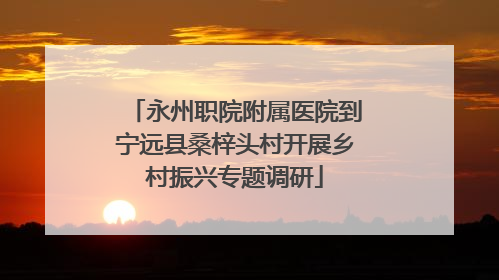 永州职院附属医院到宁远县桑梓头村开展乡村振兴专题调研