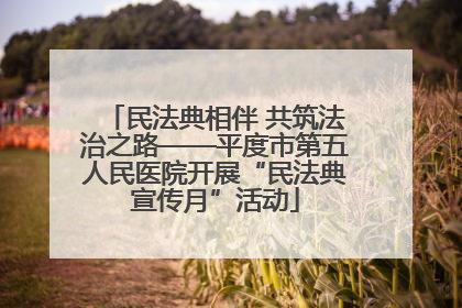 民法典相伴 共筑法治之路——平度市第五人民医院开展“民法典宣传月”活动