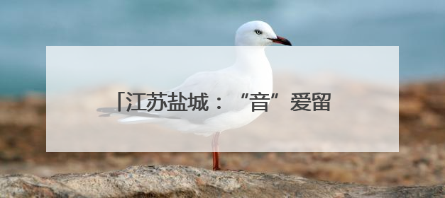 江苏盐城：“音”爱留“夏” 带火一座城