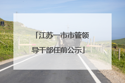 江苏一市市管领导干部任前公示