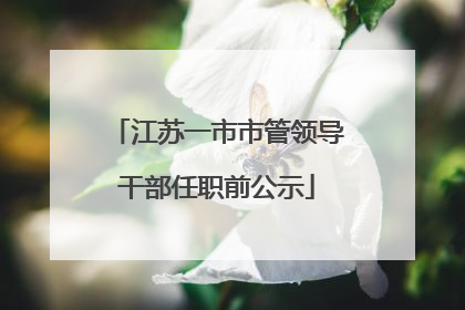 江苏一市市管领导干部任职前公示