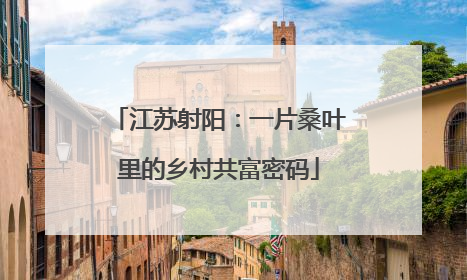 江苏射阳：一片桑叶里的乡村共富密码