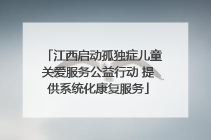 江西启动孤独症儿童关爱服务公益行动 提供系统化康复服务