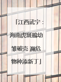 江西武宁：海南虎斑鳽幼雏破壳 濒危物种添新丁