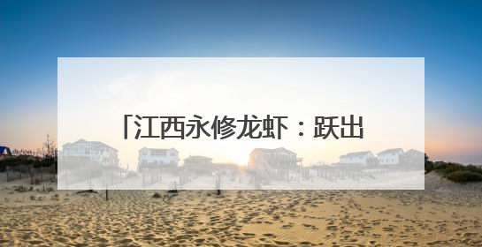 江西永修龙虾：跃出稻虾田 飘香京城宴