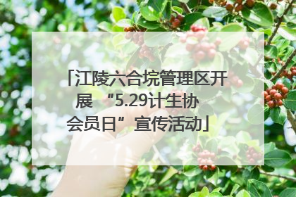 江陵六合垸管理区开展 “5.29计生协会员日”宣传活动