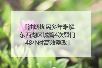 油烟扰民多年难解 东西湖区城管4次登门48小时高效整改