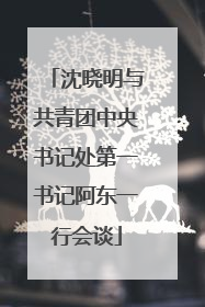 沈晓明与共青团中央书记处第一书记阿东一行会谈