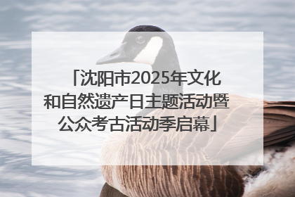 沈阳市2025年文化和自然遗产日主题活动暨公众考古活动季启幕