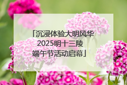 沉浸体验大明风华 2025明十三陵端午节活动启幕