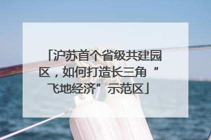 沪苏首个省级共建园区，如何打造长三角“飞地经济”示范区