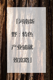 河南新野：特色产业铺就致富路