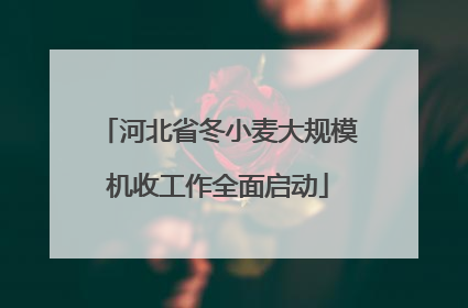 河北省冬小麦大规模机收工作全面启动