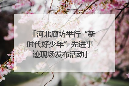 河北廊坊举行“新时代好少年”先进事迹现场发布活动