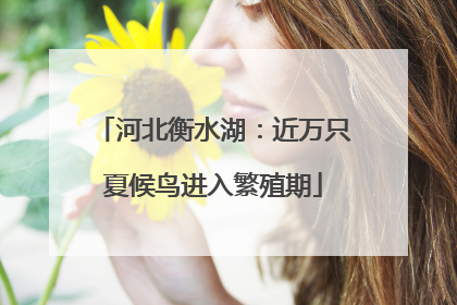 河北衡水湖：近万只夏候鸟进入繁殖期