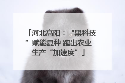河北高阳：“黑科技”赋能夏种 跑出农业生产“加速度”