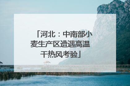 河北：中南部小麦生产区遭遇高温干热风考验