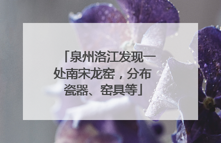 泉州洛江发现一处南宋龙窑，分布瓷器、窑具等