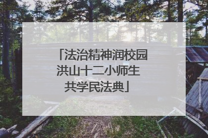 法治精神润校园 洪山十二小师生共学民法典