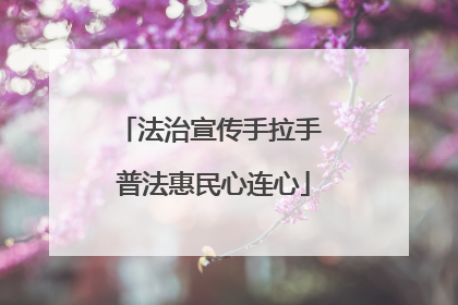 法治宣传手拉手 普法惠民心连心