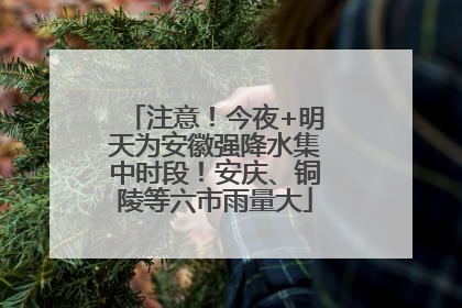 注意！今夜+明天为安徽强降水集中时段！安庆、铜陵等六市雨量大
