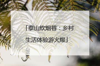 泰山炊烟巷：乡村生活体验游火爆