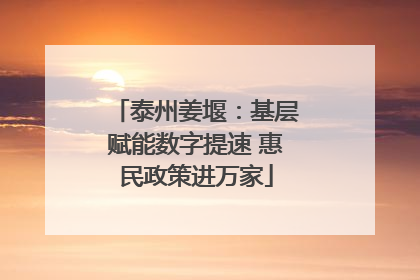 泰州姜堰：基层赋能数字提速 惠民政策进万家