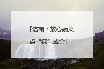 洛南：放心蔬菜点“绿”成金