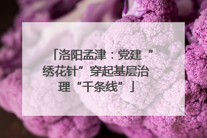 洛阳孟津：党建“绣花针”穿起基层治理“千条线”