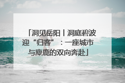 洞见岳阳丨洞庭碧波迎“归客”：一座城市与麋鹿的双向奔赴